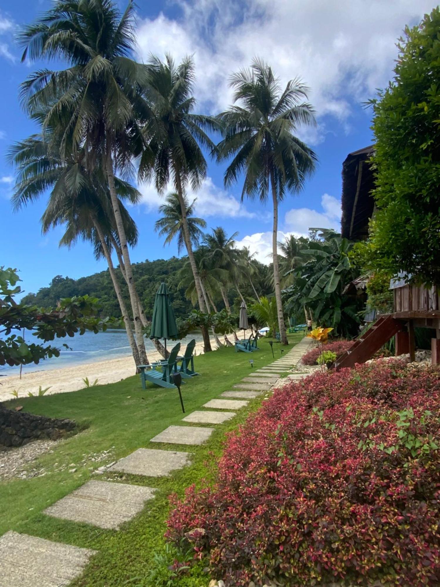 Tuburan Cove Beach Resort Buruanga Dış mekan fotoğraf